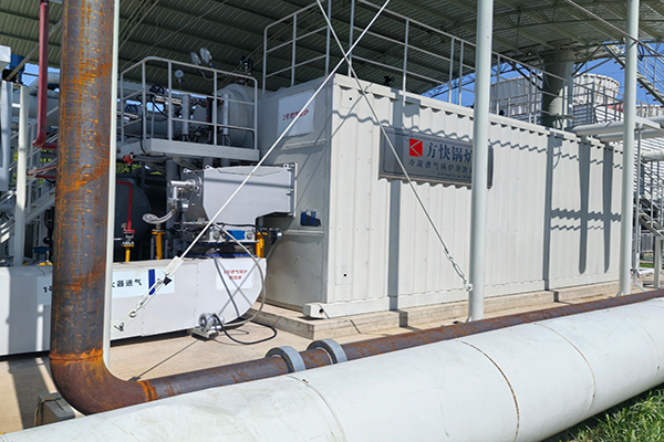 常州某電力公司一臺(tái)15噸燃?xì)忮仩t