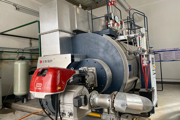 蘭州某生物科技有限公司使用方快鍋爐一臺WNS4-1.25-YQ