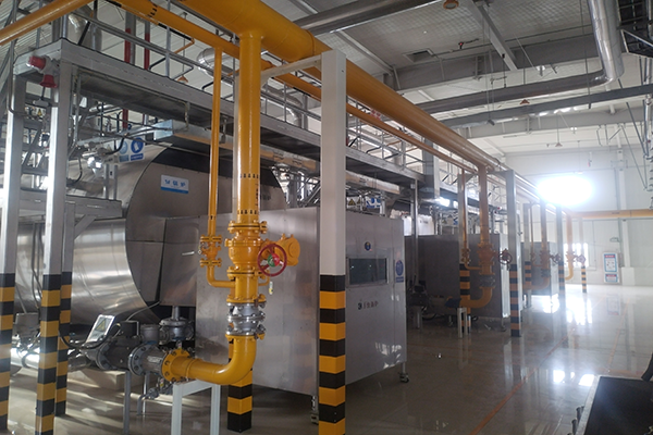 呼倫貝爾某飲品公司使用方快鍋爐三臺十噸燃氣蒸汽鍋爐