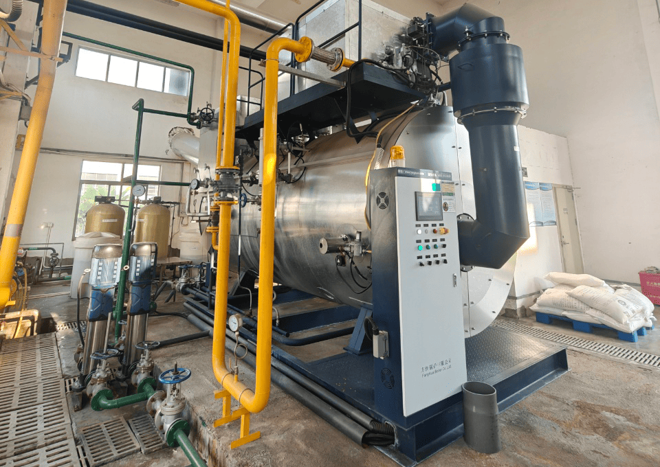 湖南某生物制藥公司使用方快鍋爐一臺(tái)6噸燃?xì)庹羝仩t