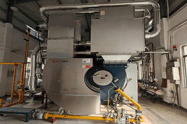 廣東某制藥廠使用方快鍋爐一臺(tái)6噸燃?xì)庹羝仩t