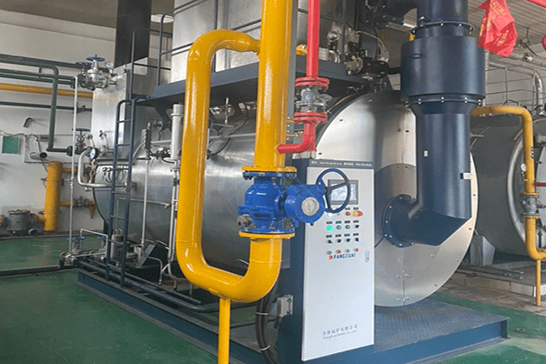 青海某乳業公司使用方快鍋爐一臺6噸燃氣蒸汽鍋爐